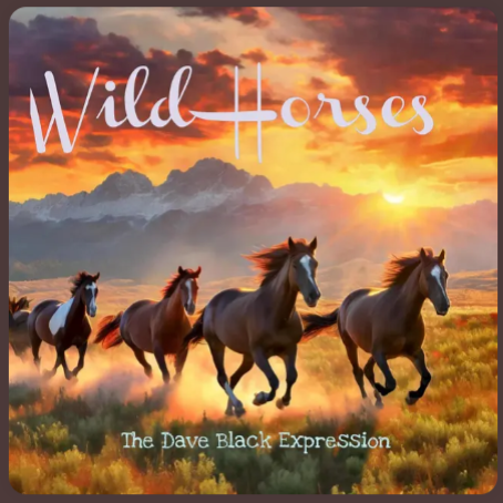 "Wild Horses” - The Dave Black Expression