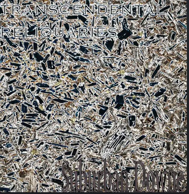 “Meaningless Noise” by Suburban Downe